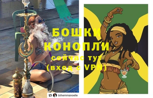 PSILOCYBIN Верхний Тагил