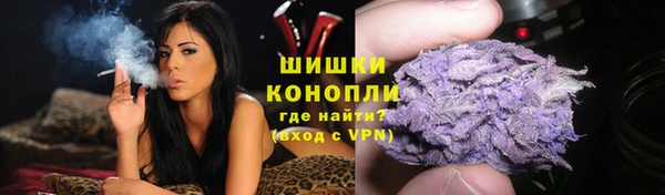 PSILOCYBIN Верхний Тагил
