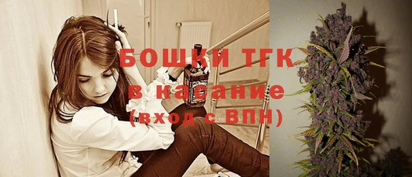 PSILOCYBIN Верхний Тагил