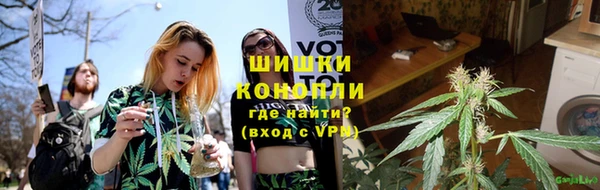 PSILOCYBIN Верхний Тагил