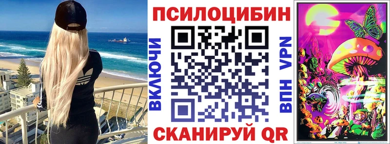 Псилоцибиновые грибы Psilocybe  Карачаевск 