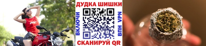 мориарти наркотические препараты  как найти закладки  Карачаевск  Шишки марихуана THC 21% 